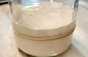 sourdough starter