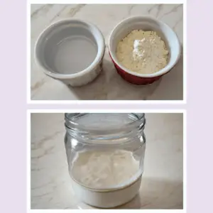 sourdough starter