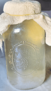 homemade water kefir