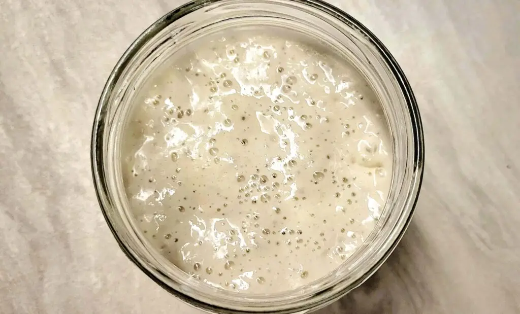 sourdough starter