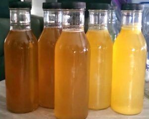 water kefir