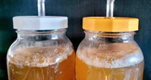 Hard alcoholic kombucha fermentation