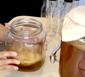 how to make kombucha