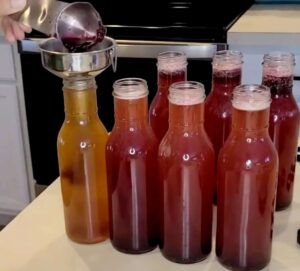 how to make kombucha