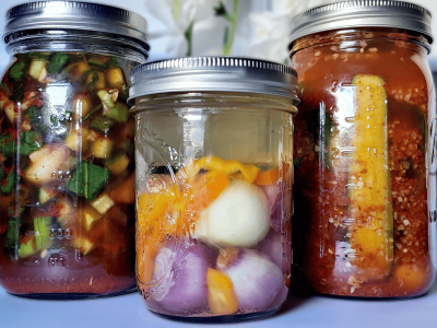 lacto-fermented vegetables