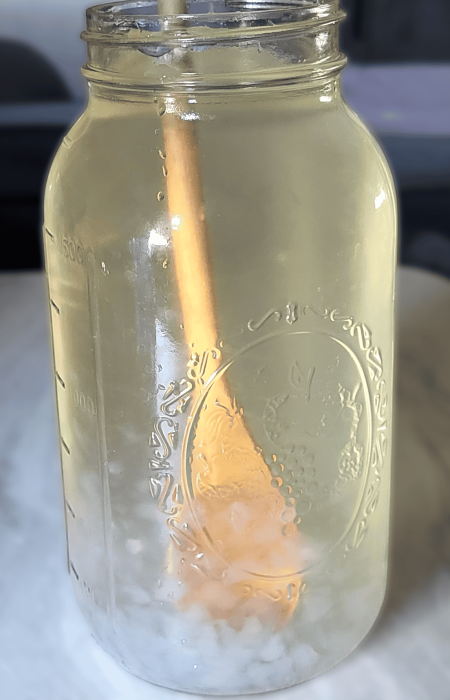 homemade water kefir