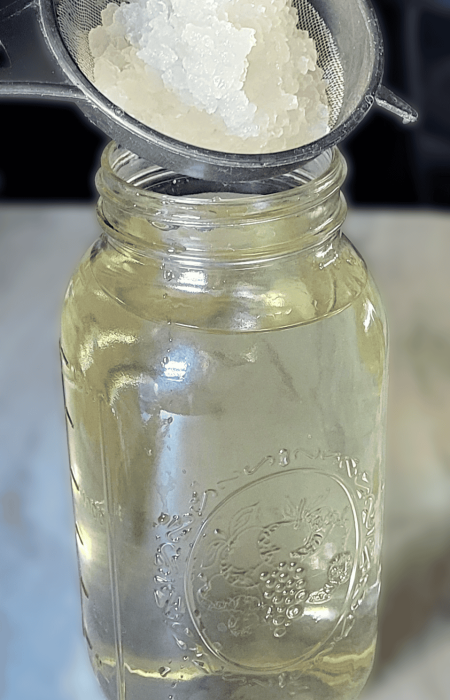 homemade water kefir