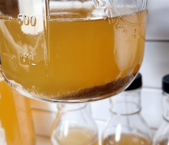 hard kombucha yeast sediment