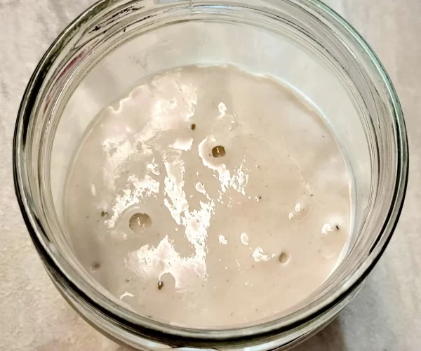 sourdough starter