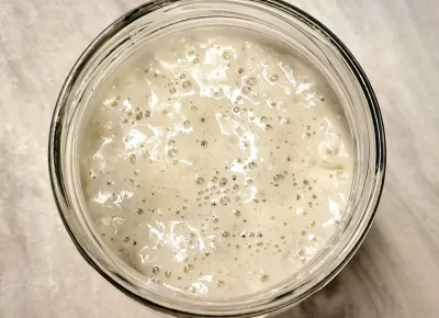 sourdough starter