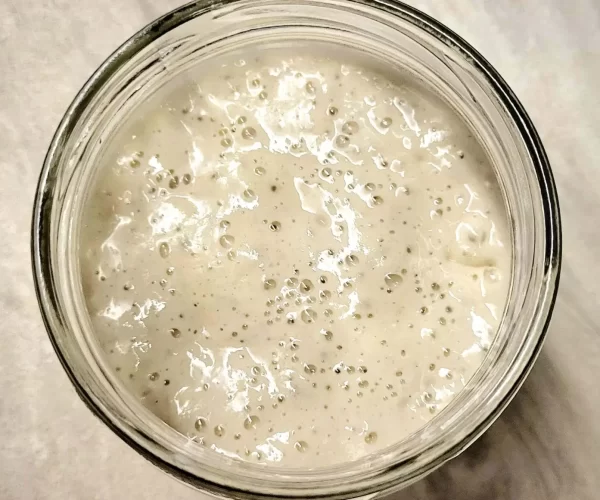 sourdough starter