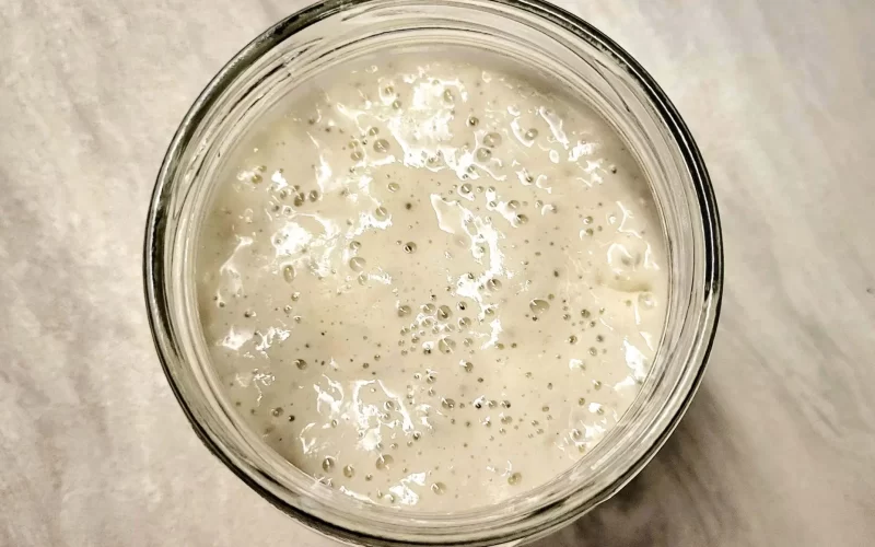 sourdough starter