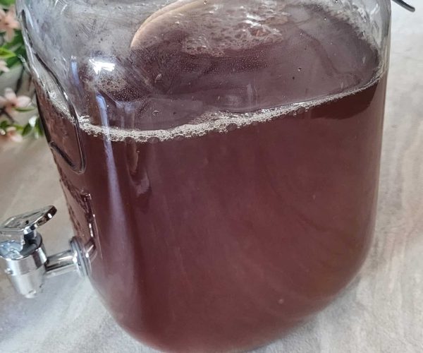 kombucha first fermentation