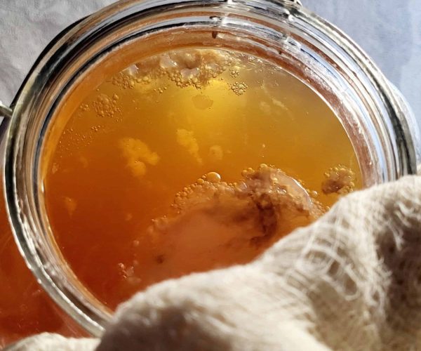 kombucha yeast and SCOBY