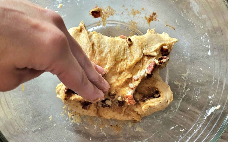 Sourdough Pumpkin Spice Bread Stretch and Folds