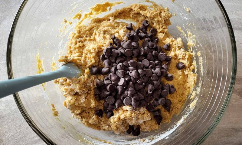 sourdough discard pumpkin chocolate chip cookie dough