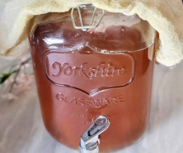 how to make kombucha