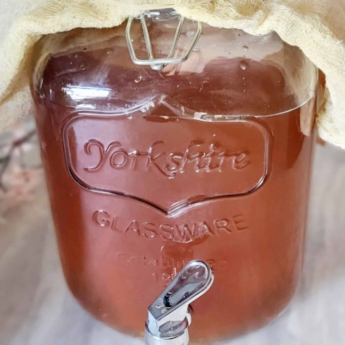 how to make kombucha