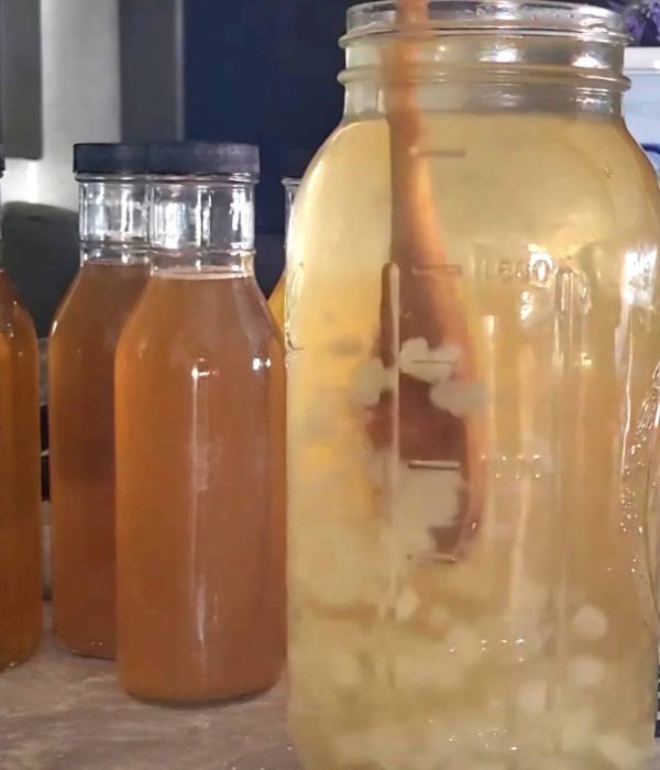 water kefir