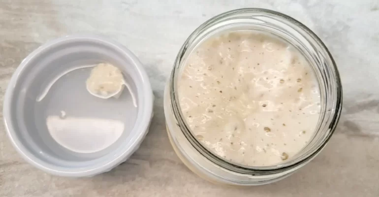 sourdough starter