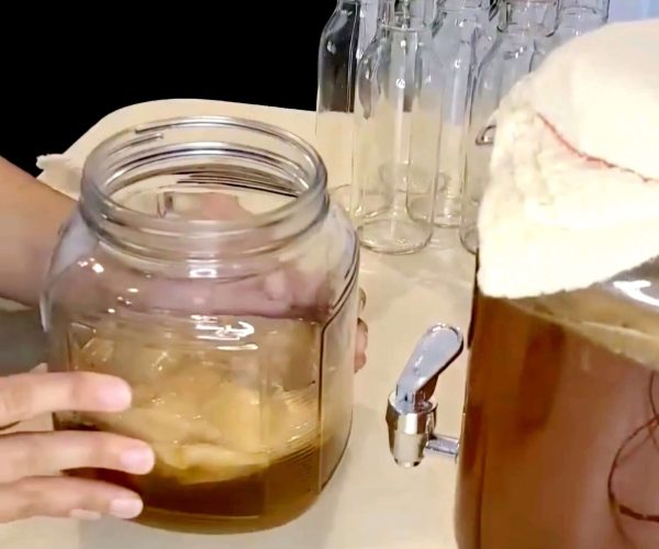 how to make kombucha