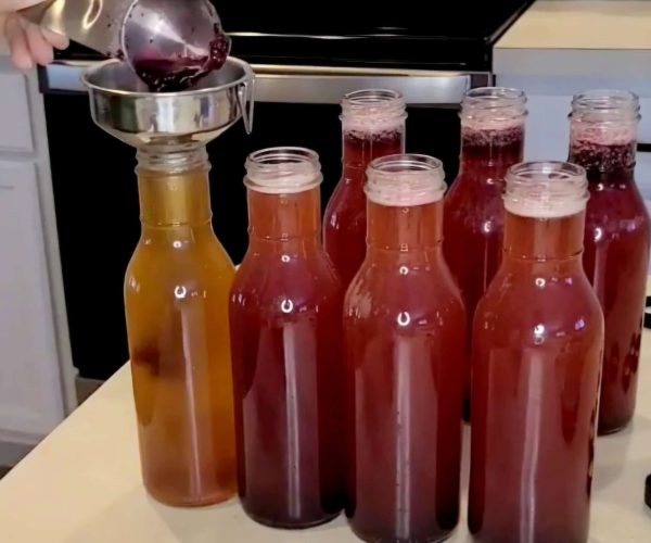 how to make kombucha