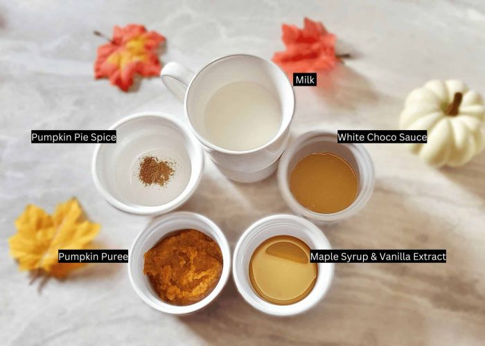 Ingredients for Pumpkin Spice White Hot Chocolate