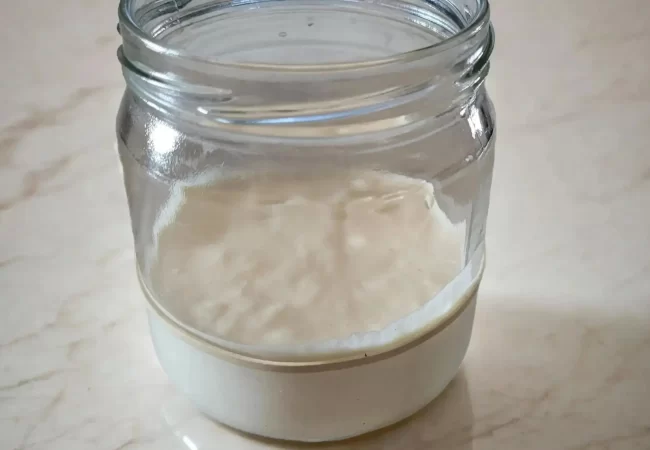 sourdough starter