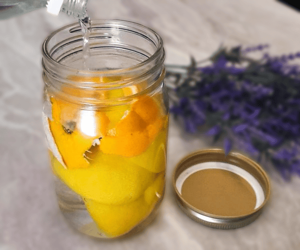 homemade lemon vinegar cleaner