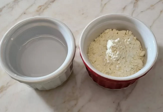 sourdough starter